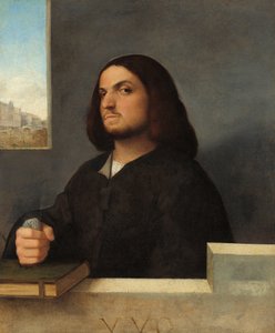 Venetsialaisen herrasmiehen muotokuva, n. 15101515. tekijältä Giovanni Cariani
