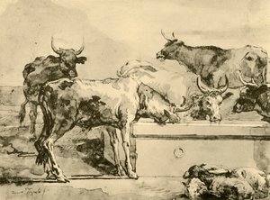 Lehmät juottavat, 1700-luvun puolivälissä, 1928 tekijältä Giovanni Domenico Tiepolo