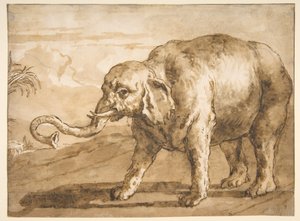 Norsu maisemassa tekijältä Giovanni Domenico Tiepolo