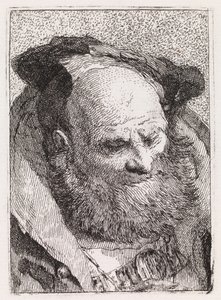 Vanha parrakas mies tekijältä Giovanni Domenico Tiepolo