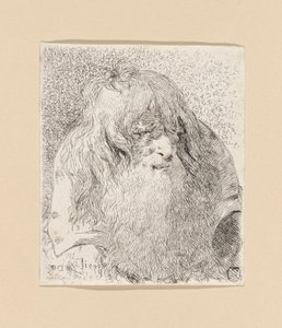 Vanhus, jolla on parta ja pitkät hiukset, Raccolta di Testestä (Pääkokoelma) tekijältä Giovanni Domenico Tiepolo