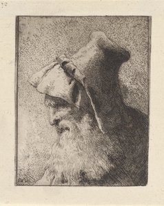Partavanhuksen miehen profiili, Raccolta di Teste (Pääkokoelma) tekijältä Giovanni Domenico Tiepolo