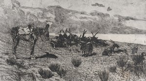 Aasi ja vuohet meren rannalla talvella, 1884-1908. tekijältä Giovanni Fattori