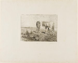 Hevosten lepo tekijältä Giovanni Fattori