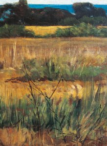 Italia, Firenze, Maremma Toscana, noin 1894, yksityiskohta tekijältä Giovanni Fattori