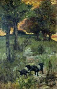 Italia, Firenze, Siat laitumella tekijältä Giovanni Fattori