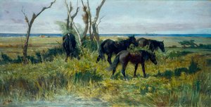 Maremman laidun. Laiduntavat hevoset, noin 1872 (öljy kankaalle). tekijältä Giovanni Fattori