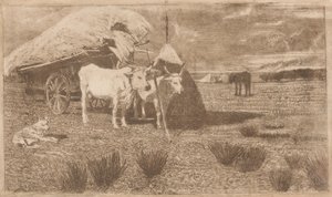 Kärryyn kytketyt härät (Maremma) (Bovi al carro (Maremma))