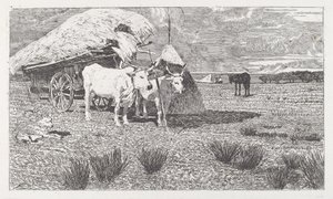 Kärryjen eteen valjastetut härät (Maremma) tekijältä Giovanni Fattori