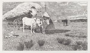 Härät kärryyn (Maremma) [Bovi al carro (Maremma)] tekijältä Giovanni Fattori