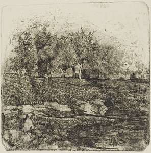 Puut niityllä tekijältä Giovanni Fattori