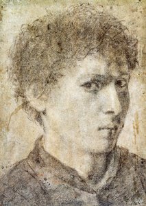Nuoren pojan pää, piirustus Gian Girolamo Savoldo (n. 1480-1548), musta kynä ja valkoinen liitu, Italia tekijältä Giovanni Girolamo Savoldo