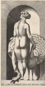 Levy 4: Juno seisoo kapealla, takaa katsottuna, silitti riikinkukkoa oikealla puolellaan, fr..., 1526.