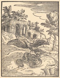 Lintu ja käärme, 1570. tekijältä Giovanni Maria Verdizotti