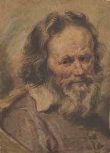 Parrakkaan miehen pää, 1600-1630.