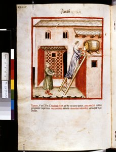 Ububchasym de Baldachin Theatrum sanitatis: "Acetum", 1300-luvun ensimmäinen vuosikymmen (pienoiskuva).