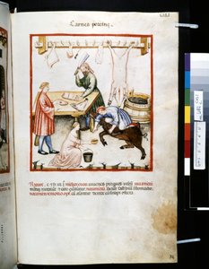 Ububchasym de Baldachin Theatrum sanitatis: "Carnes Porcinae", 1300-luvun ensimmäinen vuosikymmen (pienoiskuva).