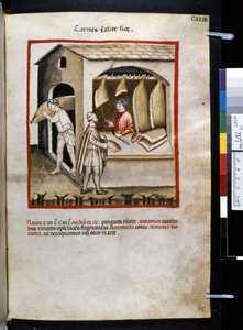 Ububchasym de Baldachin Theatrum sanitatis: "Carnes Salite Si ce", 1300-luvun ensimmäinen vuosikymmen (pienoiskuva). tekijältä Giovannino de