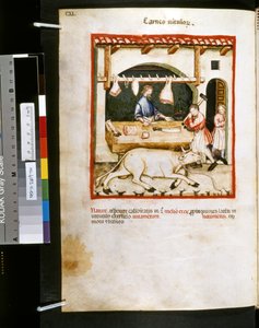 Ububchasym de Baldachin Theatrum sanitatis: "Carnes Vitulorum", 1300-luvun ensimmäinen vuosikymmen (pienoiskuva). tekijältä Giovannino de