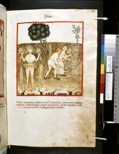 Ububchasym de Baldachin Theatrum sanitatis: "Estas", 1300-luvun ensimmäinen vuosikymmen (pienoiskuva).