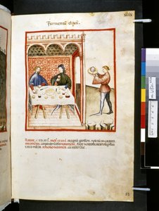 Ububchasym de Baldachin Theatrum sanitatis: "Furmentum Elixum", 1300-luvun ensimmäinen vuosikymmen (pienoiskuva).