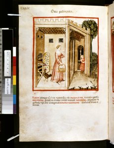 Ububchasym de Baldachin Theatrum sanitatis: "Ova Galinacea", 1300-luvun ensimmäinen vuosikymmen (pienoiskuva). tekijältä Giovannino de