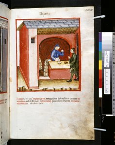 Ububchasym de Baldachin Theatrum sanitatis: "Rizon", 1300-luvun ensimmäinen vuosikymmen (pienoiskuva). tekijältä Giovannino de