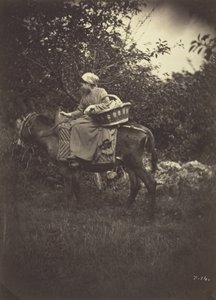 Naarastalonpoikaasi, 1870.