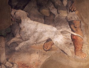 Koirahahmo, yksityiskohta Girolamo Romaninon (n. 1484-1566) freskosta, Sant