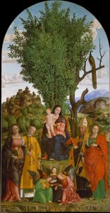 Madonna ja lapsi pyhien kanssa, n. 1520.
