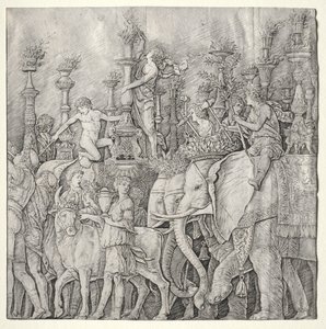Caesarin voitot: Elefantit, n. 1485-1490. tekijältä Giulio Campagnola