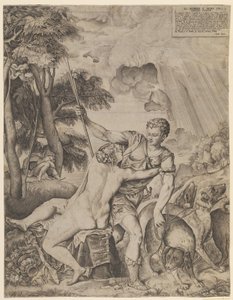 Venus ja Adonis