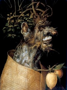 Talvi, 1563