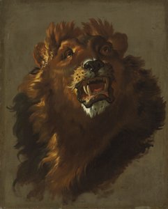 Leijona, 1750-luku.