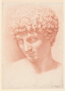 Apollon johtaja