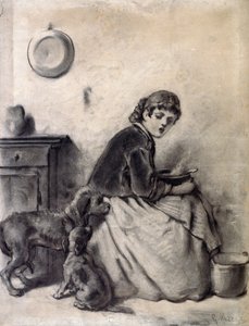 Mulher com cães finnish