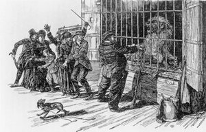 Tartarin ja leijonan häkki, kuvitus Tartarinille Alpeilla, Alphonse Daudet Milan tekijältä Giuseppe Porcheddu