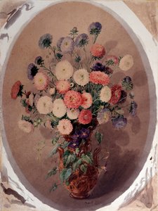 Joukko koiranputkea Giuseppe Rodan akvarelli (1800-luku) 1863 Koko 70x51 cm Genes, Galleria d