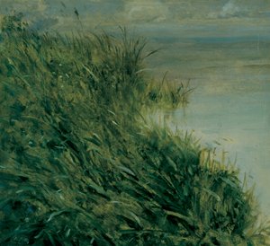 Suon tutkimus tekijältä Giuseppe or Joseph de Nittis