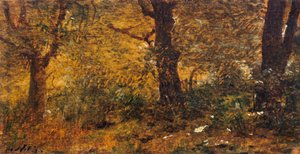 Puun tutkimus tekijältä Giuseppe or Joseph de Nittis