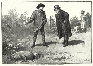 "Eikö hän ole kaunotar?" (kaiverrus) tekijältä Gordon Frederick (after) Browne