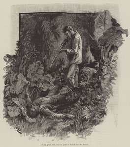 Uma eli Falesan ranta, kirjoittanut Robert Louis Stevenson tekijältä Gordon Frederick Browne