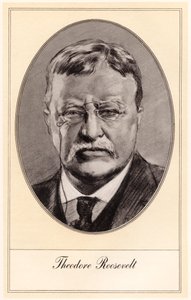 Theodore Roosevelt, Yhdysvaltain 26. presidentti, 1900-luvun alku.