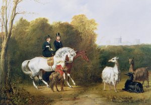 Kuningatar Victoria (1819-1901) ja prinssi Albert (1819-61) katselemassa laamoja Windsorin puistossa, noin 1845.