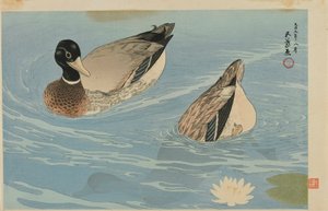 Ankat, Taisho-aika, elokuu 1920 (värillinen puupainatus)