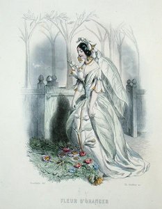 Les Fleurs Animeesin appelsiinin kukka, kaiverrettu Charles Geoffroy (1819-82) tekijältä Grandville