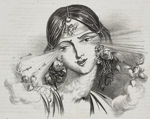Naisellinen kauneus, karikatyyri Jean-Jacques Grandville (1803-1847), litografia Gaetano Riccio Poliorama Pittorescosta, n:o 20, 24. joulukuuta tekijältä Grandville