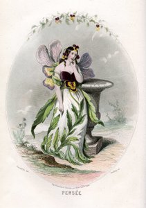 Kuvitus 