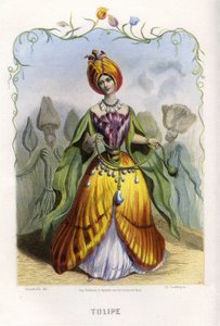 Kuvitus 