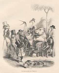 Eläimet tyylikkäissä asuissa kävelemässä Tuileriesissa. Vinjetit kuvittanut JJ Granville. Kaiverrus allekirjoitettu Andrew, Best ja Leloir PJ Stahlin kirjoittamassa osassa "History of a jänis" "Eläinten yksityisen ja julkisen elämän kohtaukset". Veto tekijältä Grandville